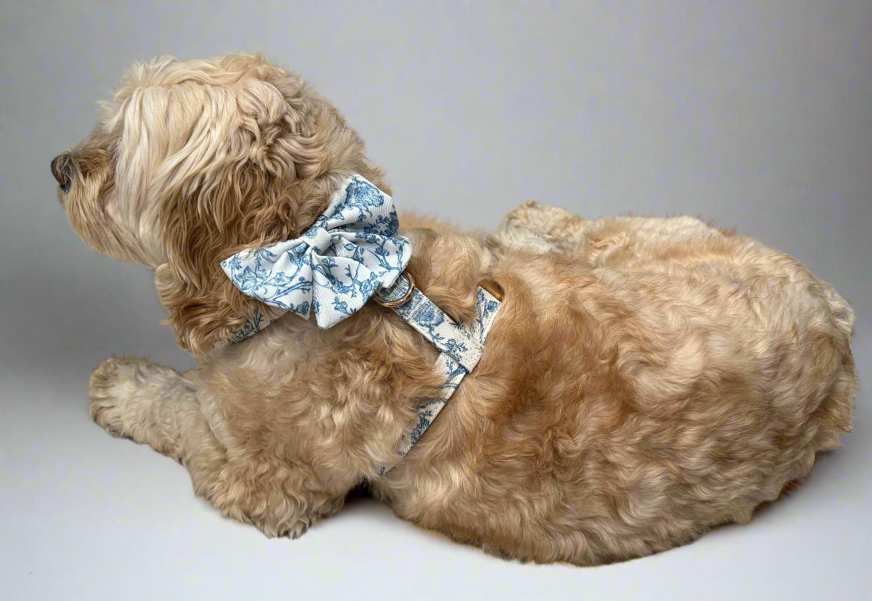 Bow added to matching Toile Harness