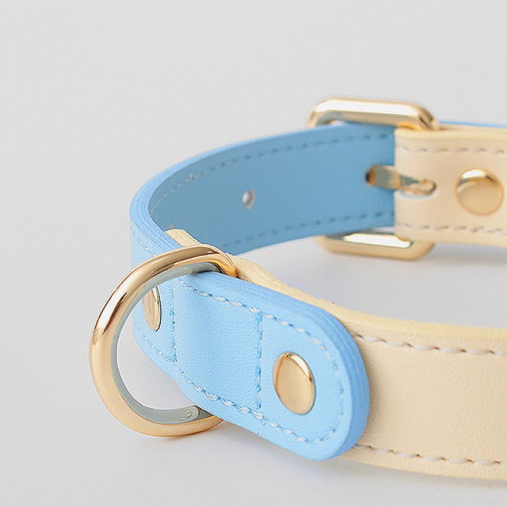 Sky Blue Dog Collar