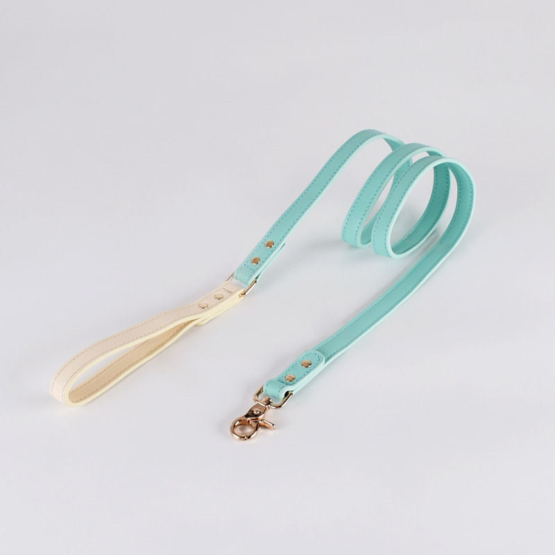 Mint Green Leash