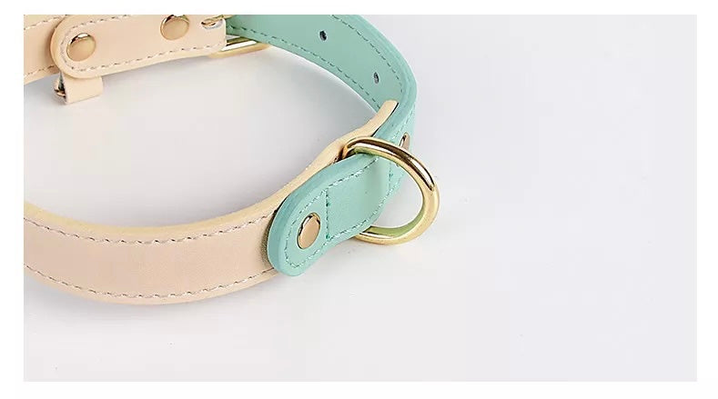 Mint Green Dog Collar